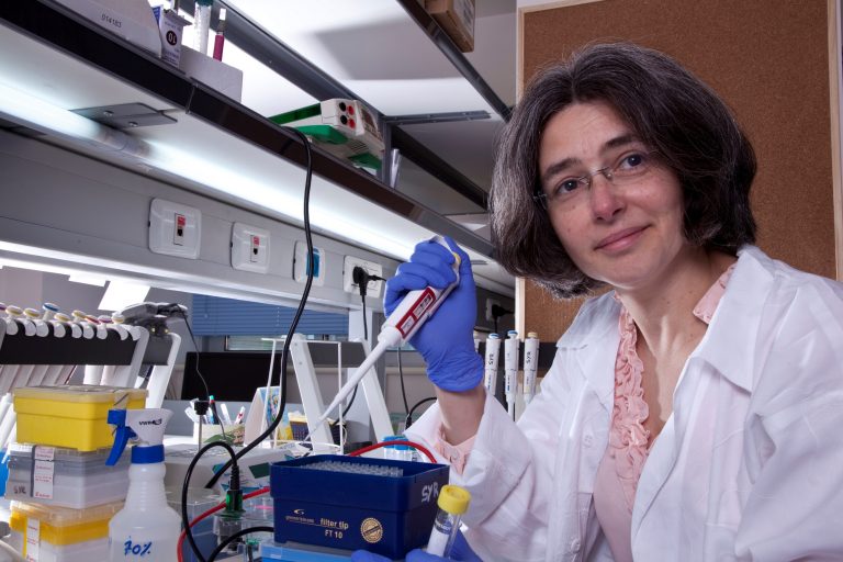 Good News from Rambam: Fewer Older Women Requiring Treatment for Severe Heart Attacks