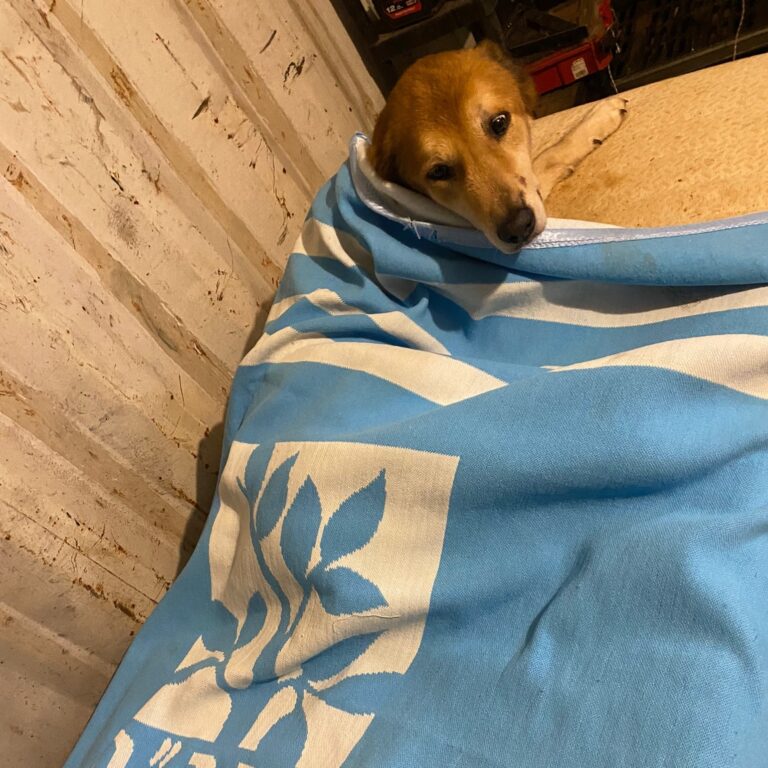 Keeping Warm from Nose-to-Tail