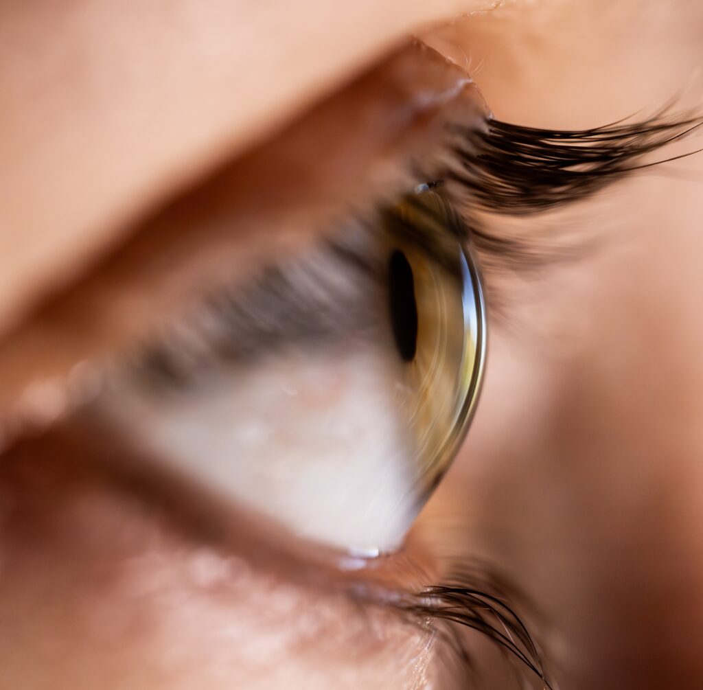 Global First at Rambam: A 3D Printed Cornea Restores Sight