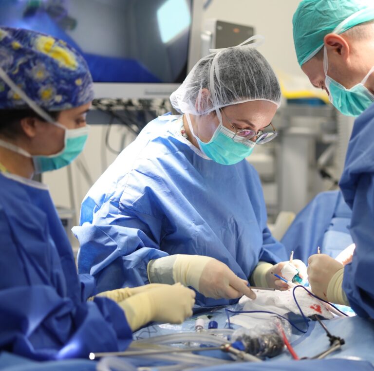 A Toddler, a Magnetic Necklace, and the Race to Save a Life