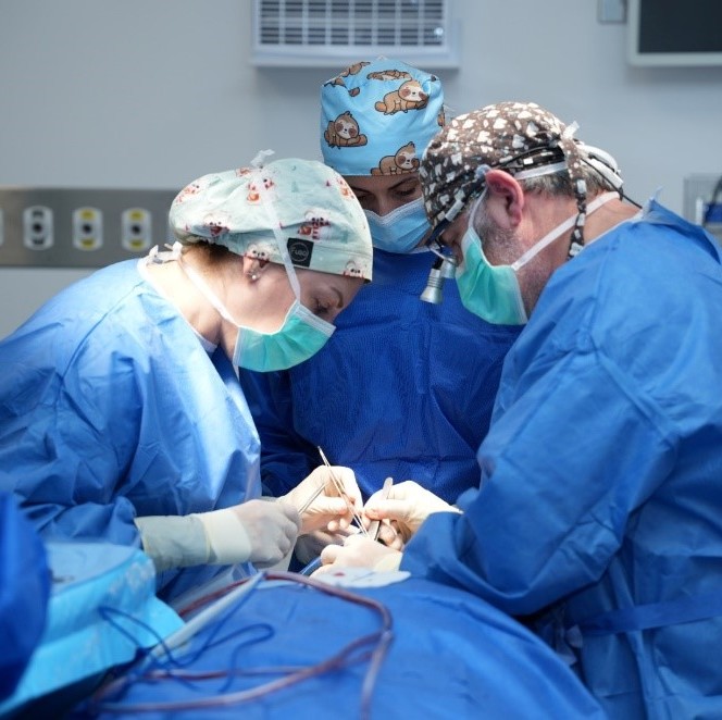 Rambam Selected as International Training Center for Oral and Maxillofacial Surgery