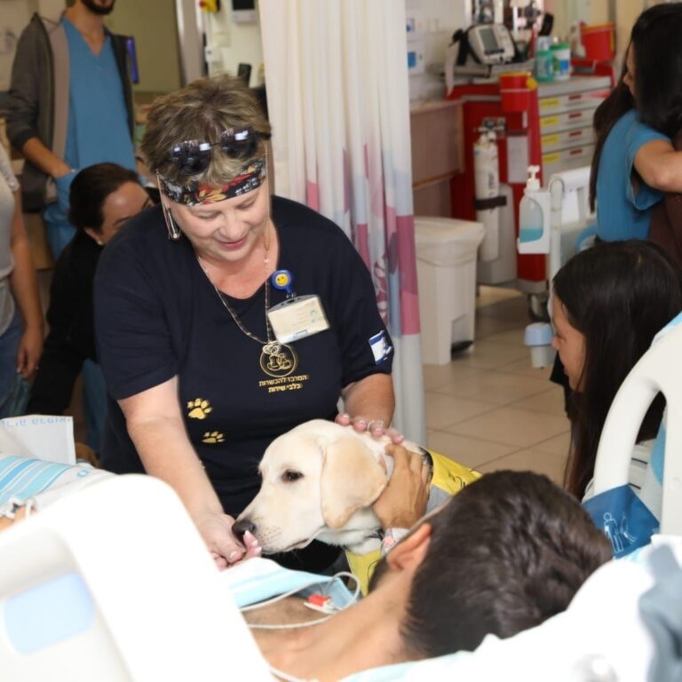 A therapy dog visiting a patient's bedside at Rambam